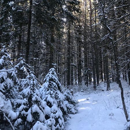 Kungsbergetnatur Järbo Exteriör bild