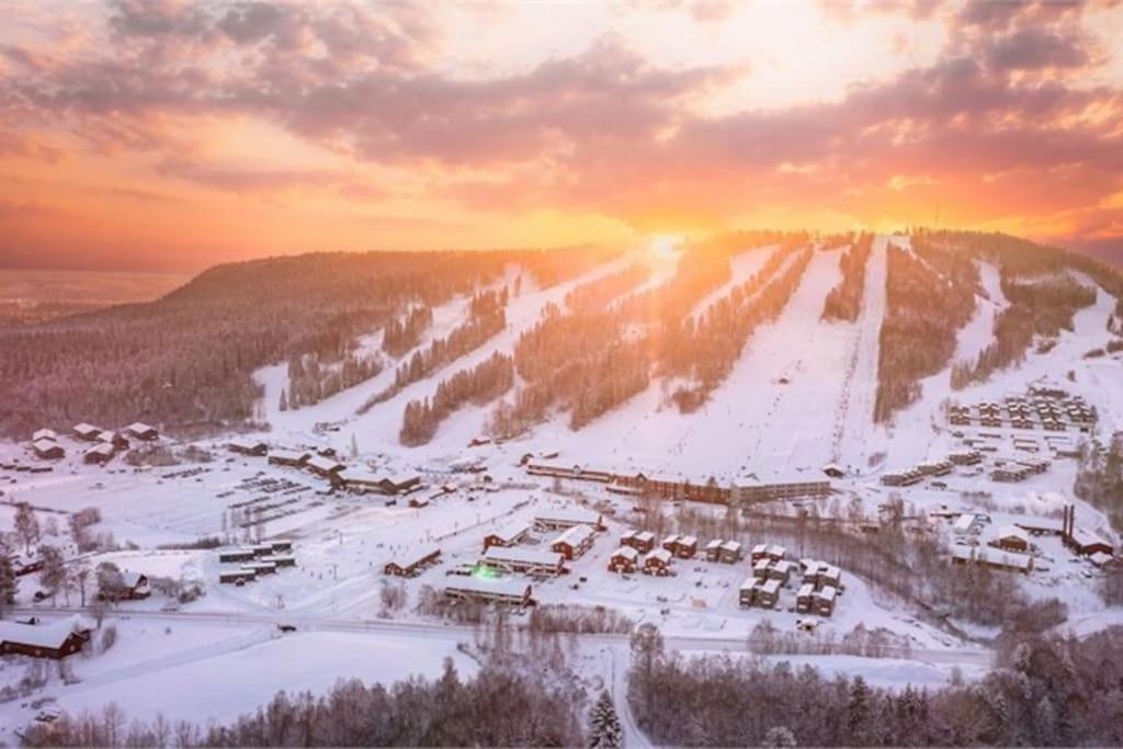 Kungsbergetnatur Järbo Exteriör bild