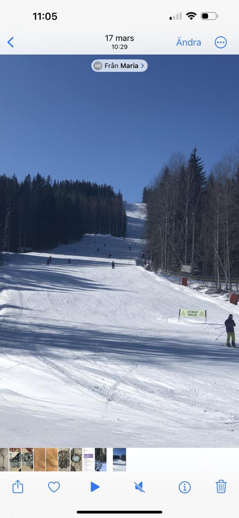 Kungsbergetnatur Järbo Exteriör bild
